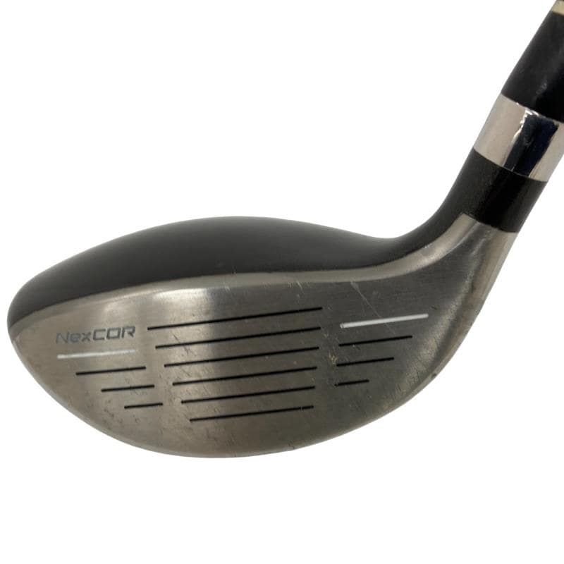 �u�q�Q�r�@���[�e�B���e�B�@�t�S