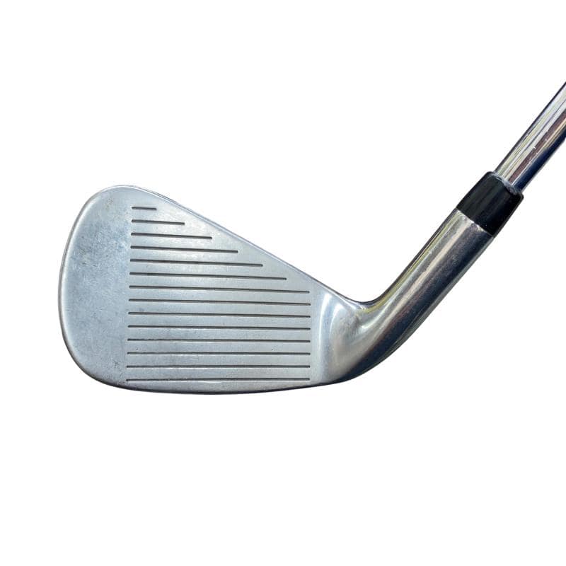 �w�Q�@�g�n�s�@�o�q�n�@�U�r�i���{���F�U�{�Z�b�g�j