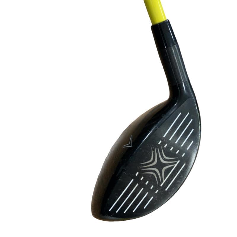 �w�Q�@�g�n�s�@�@�T�v