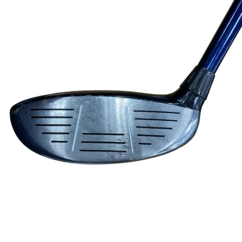 �w�@�c�q�r�@���[�e�B���e�B�@�R�g�i�Q�P°�j