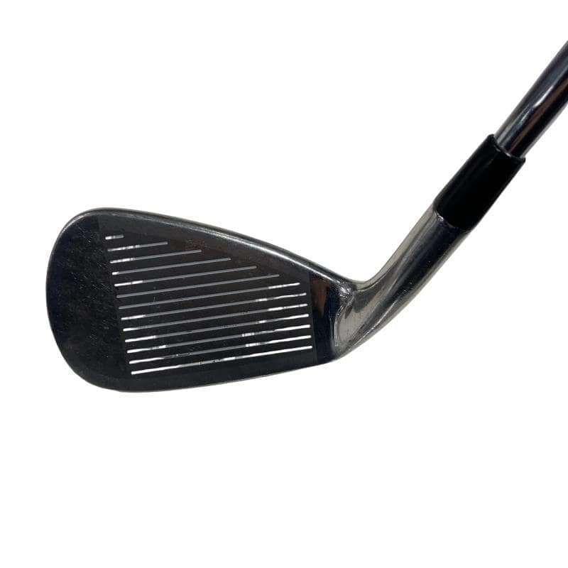 �l�����������@�o�����@�s���P�W�@�T�r�i���{���F�T�{�Z�b�g�j