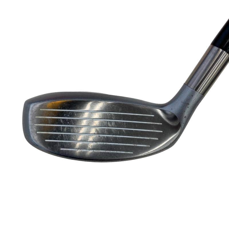 �d�t�q�t�r�@�t�T�^�U�@���f�B�[�X