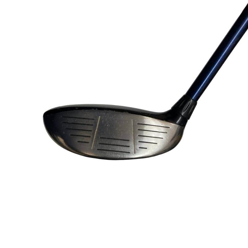 �w�@�c�q�r�@���[�e�B���e�B�@�Q�g�i�P�W°�j