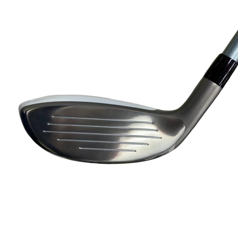 �a�q�|�w�@�t�T�@���f�B�[�X