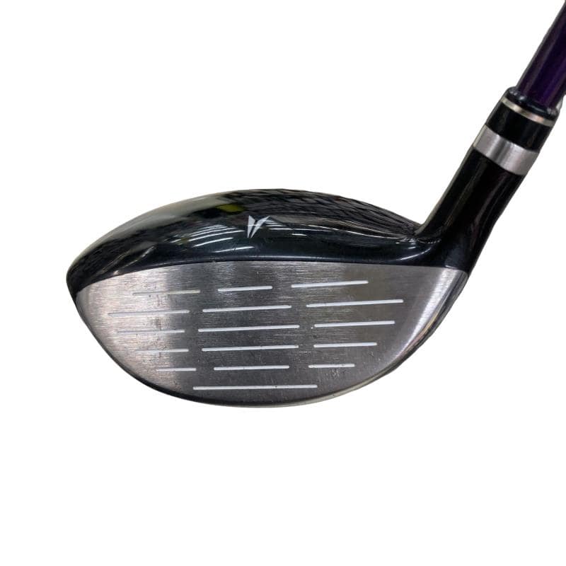 �u�����������@�u�f�q�@�V�v