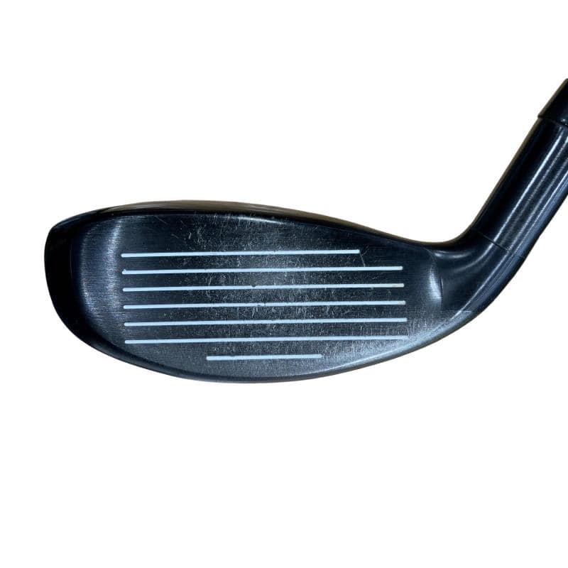 �w�Q�@�g�n�s�@�t�S