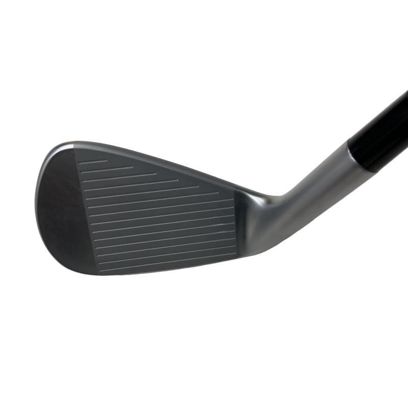 �s�����������@�l�������@�o�E�V�l�b�i�Q�O�Q�R�j�@�U�r�i���{���F�U�{�Z�b�g�j