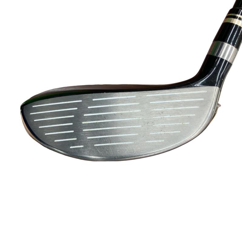 �q���������@�e�@�V���o�[�@�e�V