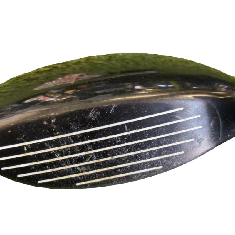 �w�@�g�n�s�@�t�S