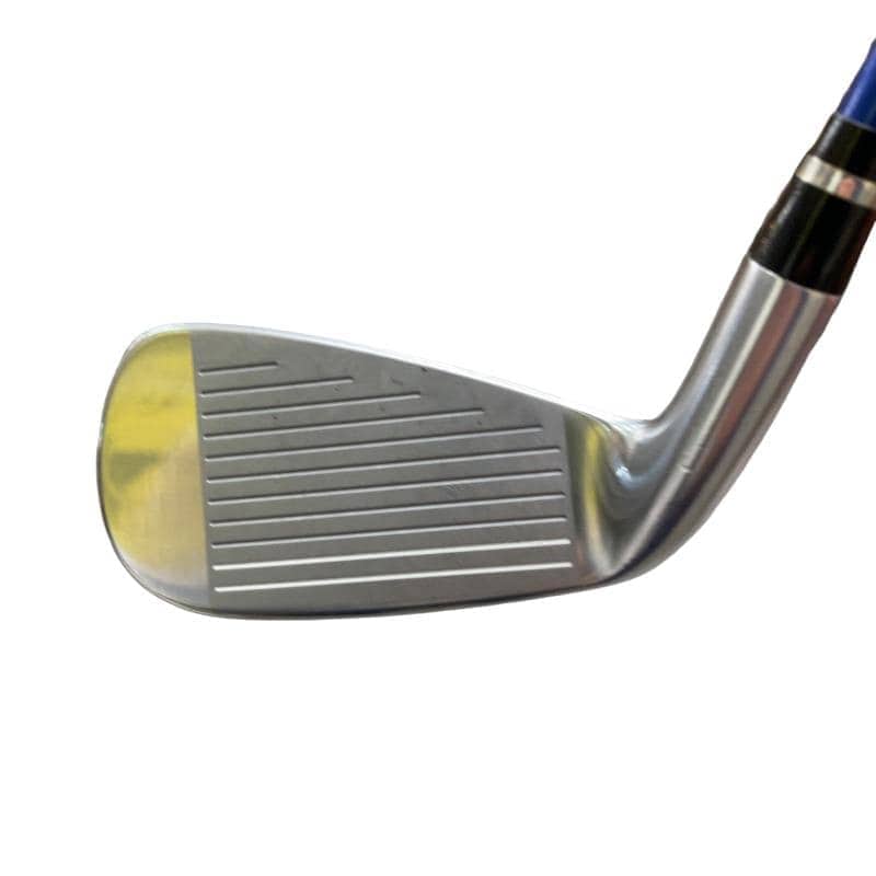 �������������@�t�c�{�Q�@�S�r�i���{���F�S�{�Z�b�g�j