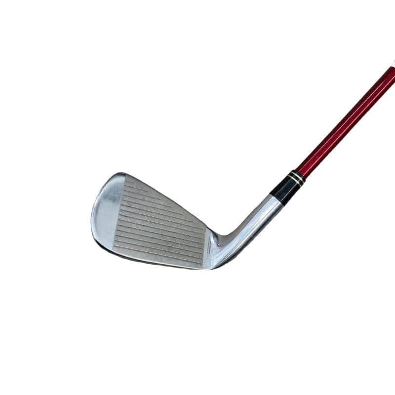 �q�X�@�e�n�q�f�d�c�@�@�U�r�i���{���F�U�{�Z�b�g�j