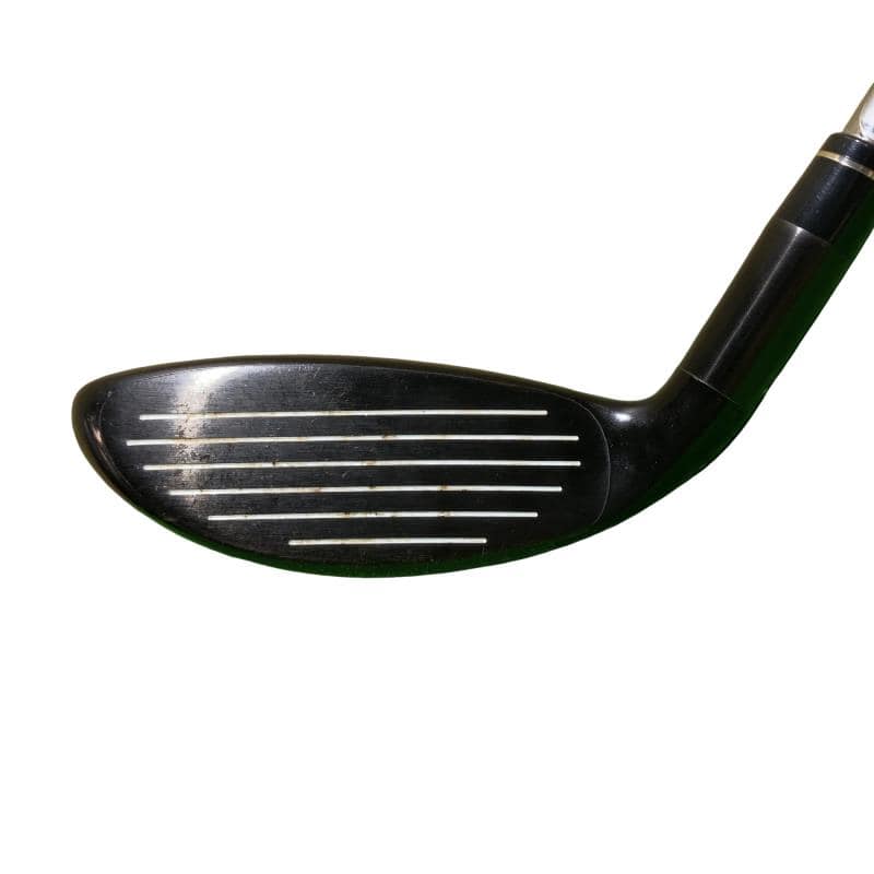 �w�@�g�n�s�@�t�S