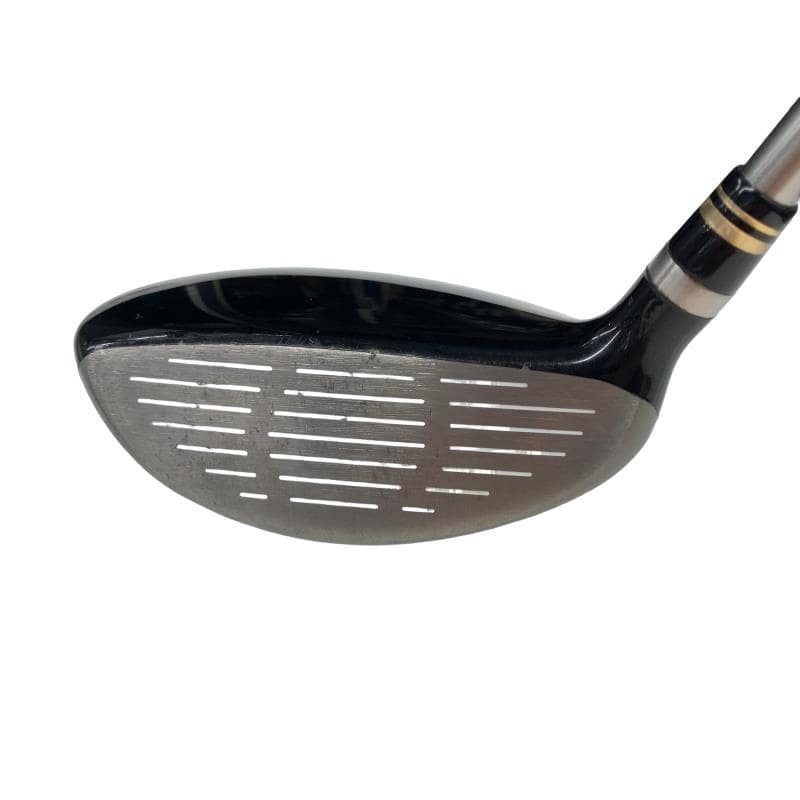 �q���������@���[�e�B���e�B�@�V���o�[�@�T�t�@���f�B�[�X