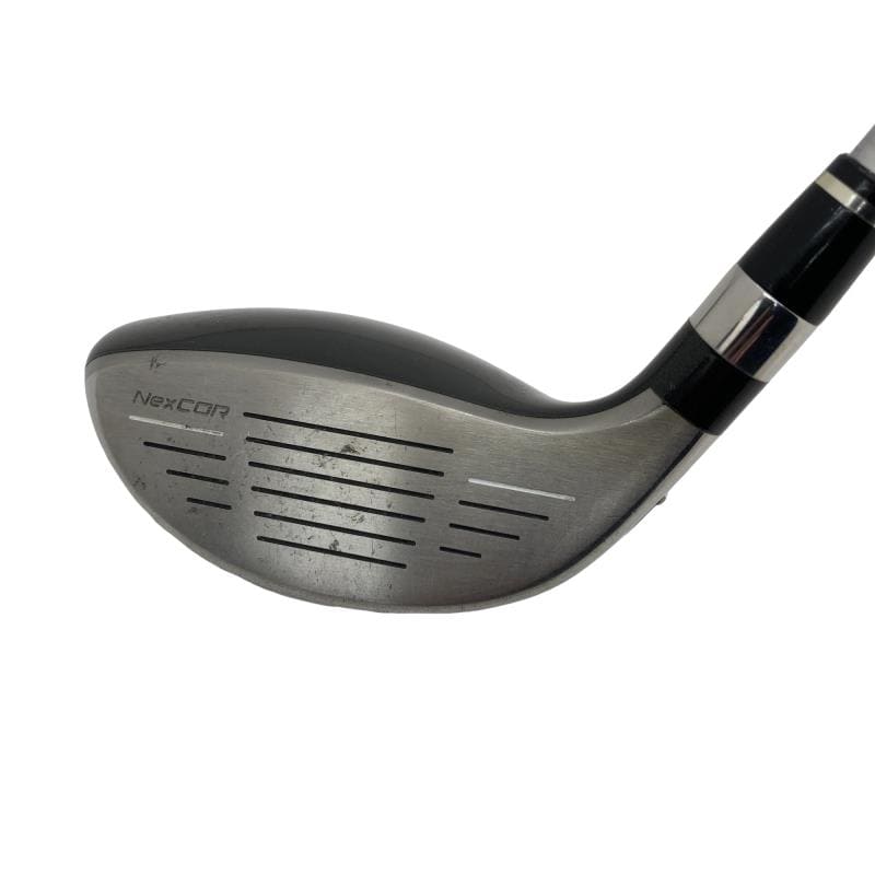 �u�q�Q�r�@���[�e�B���e�B�@�t�S�@�t�r�`