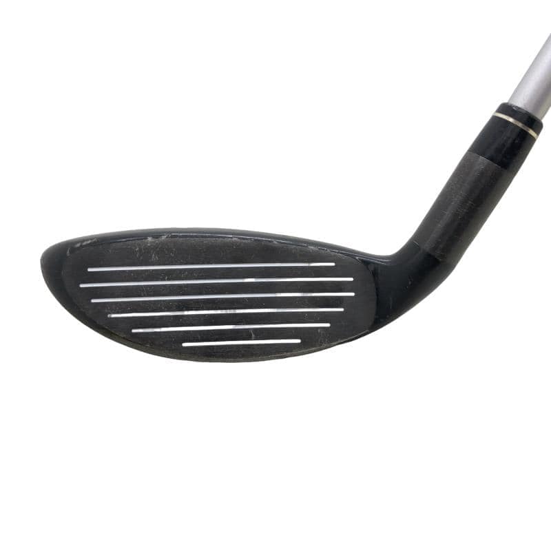 �w�@�g�n�s�@�t�S