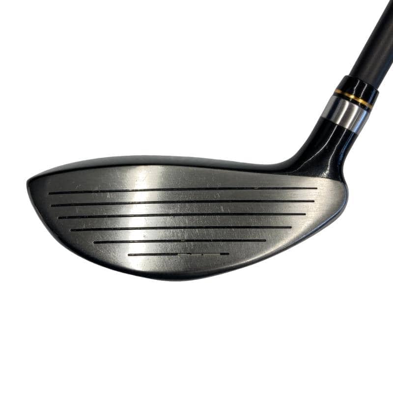 �j�Q�j�@���������O�X���[�e�B���e�B�@�t�T