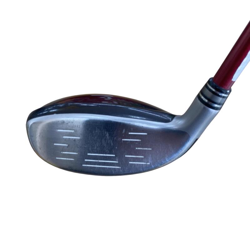 �w�w�h�n�i�Q�O�P�W�j�@�g�T