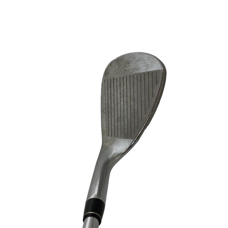 �q�r�@�`�^���t�F�[�X�@�r�v