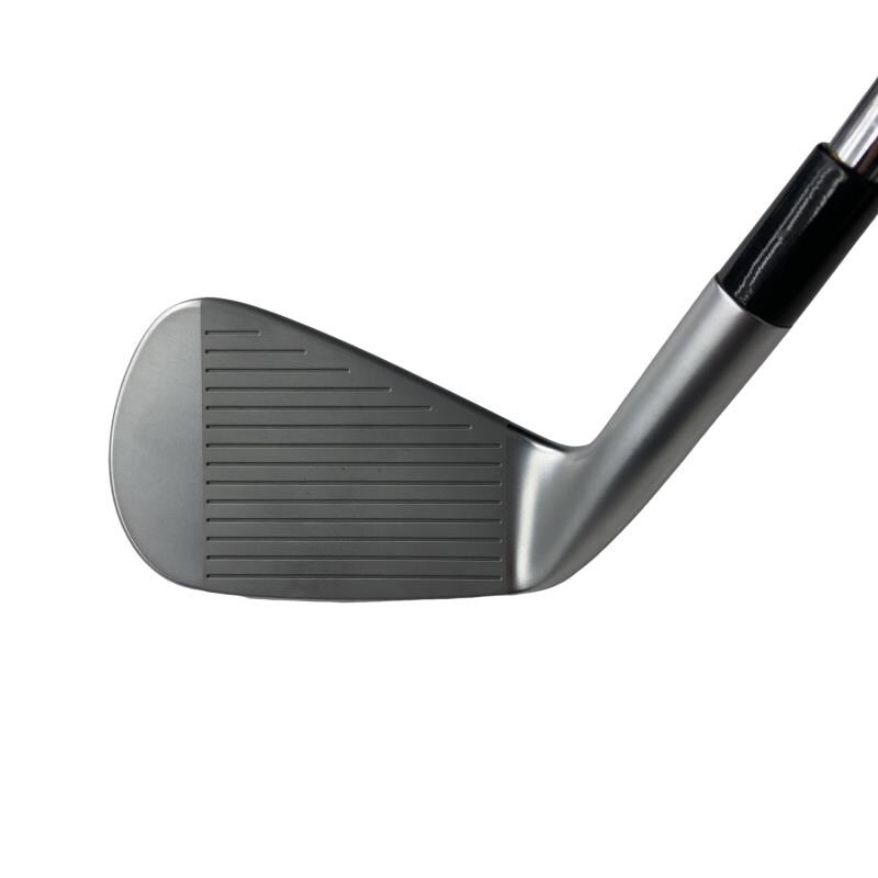 �s�����������@�l�������@�o�E�V�l�b�i�Q�O�Q�R�j�@�U�r�i���{���F�U�{�Z�b�g�j