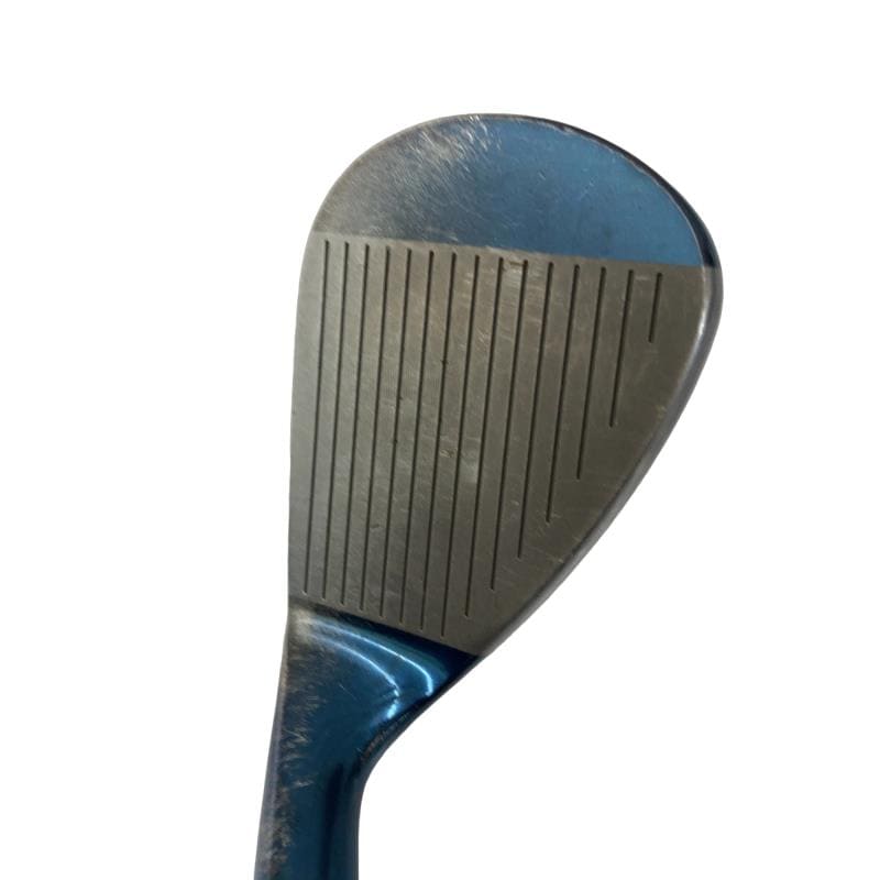 �l�����������@�o�����@�r�P�W�i�u���[�j�@�T�O°�^�O�V°