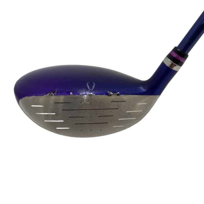 �e�����������i�Q�O�P�T�j�@�S�v�@���f�B�[�X