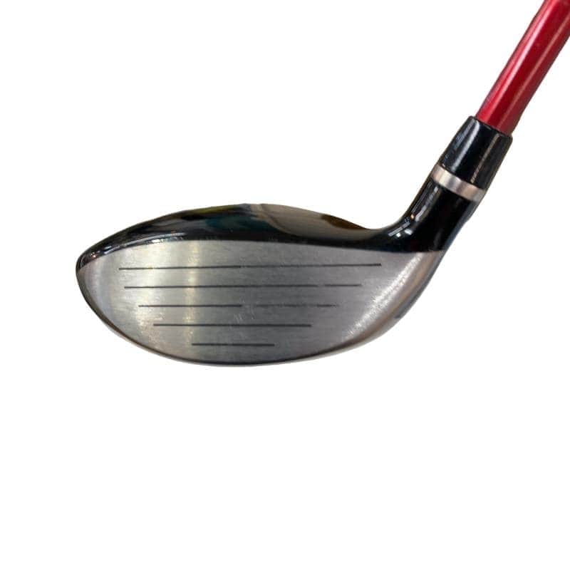 �q�l�w�@�u�c�@�T�v