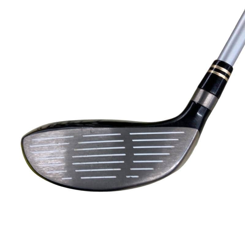 �q���������@�e�@�V���o�[�@�e�T