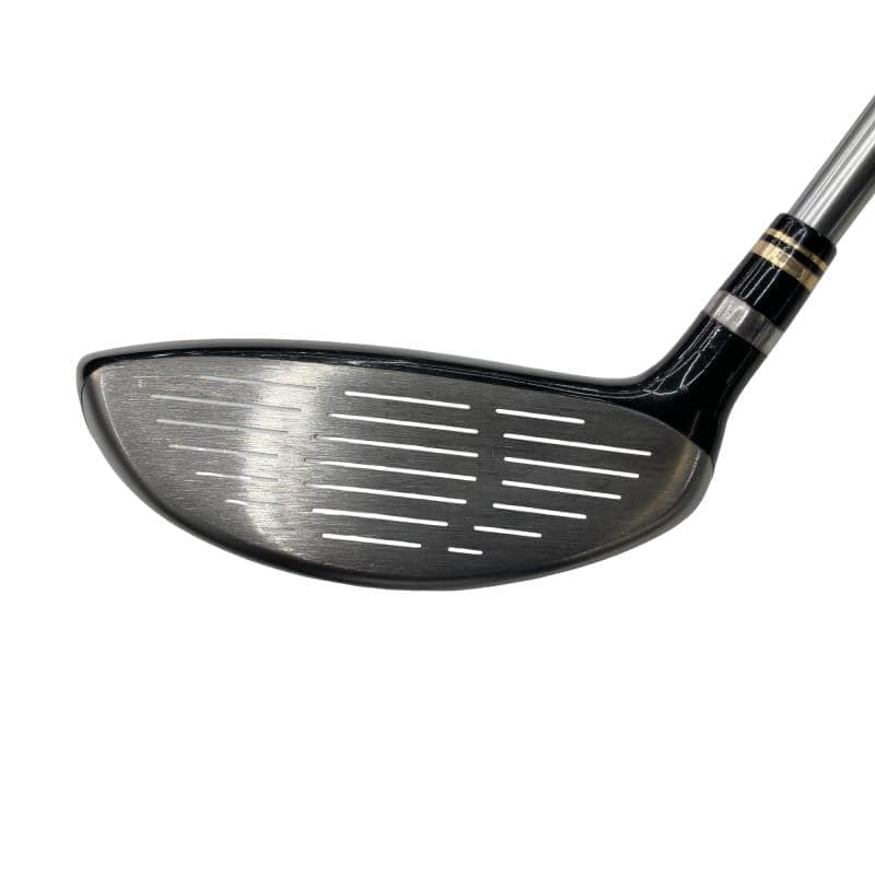 �q���������@���[�e�B���e�B�@�V���o�[�@�S�t