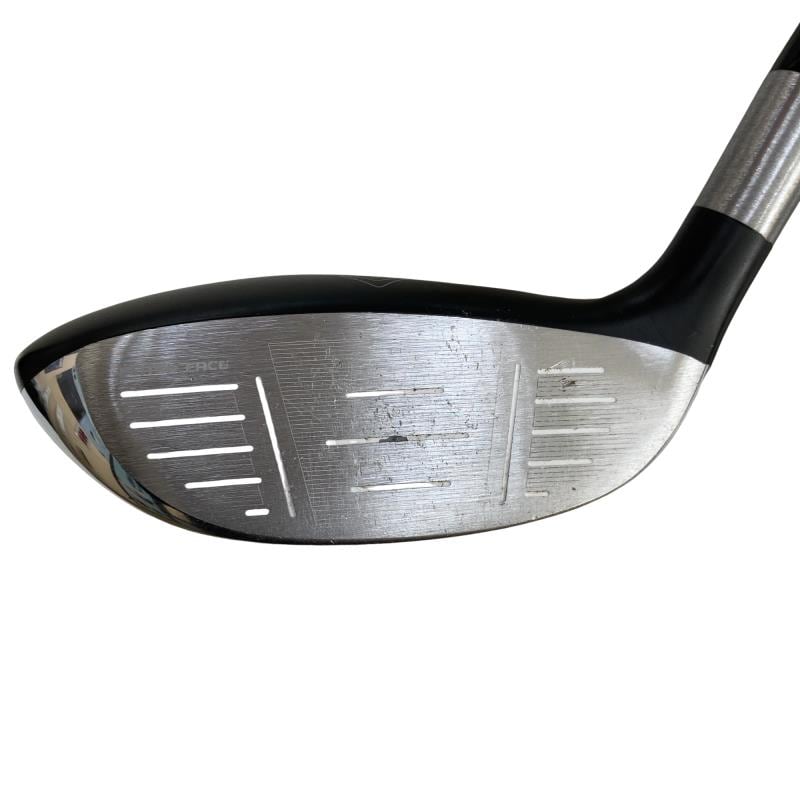 �q�n�f�t�d�@�r�s�@�l�`�w�@�e�`�r�s�@�X�v�@���f�B�[�X