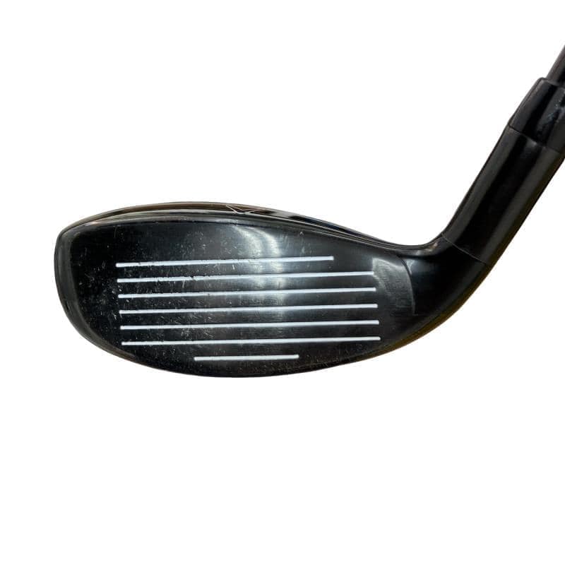 �w�Q�@�g�n�s�@�t�T