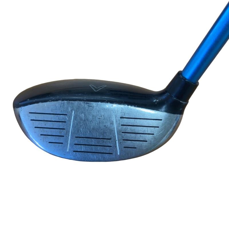 �w�@�c�q�r�@���[�e�B���e�B�@�T�g�i�Q�V°�j�@���f�B�[�X