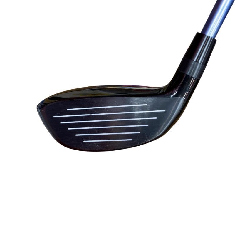 �l�����������@�o�����i�Q�O�P�X�j�@�R�s�r