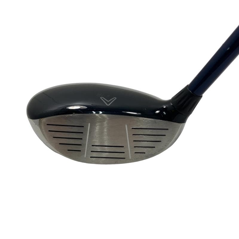 �w�@�c�q�r�@���[�e�B���e�B�@�S�g�i�Q�S°�j