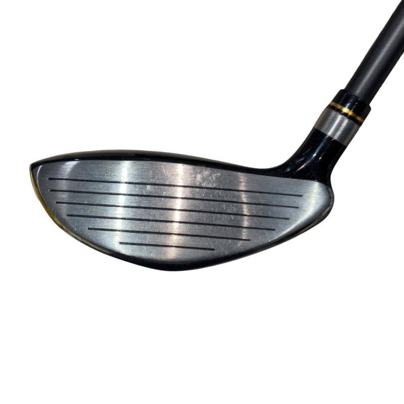 �j�Q�j�@���������O�X���[�e�B���e�B�@�t�T