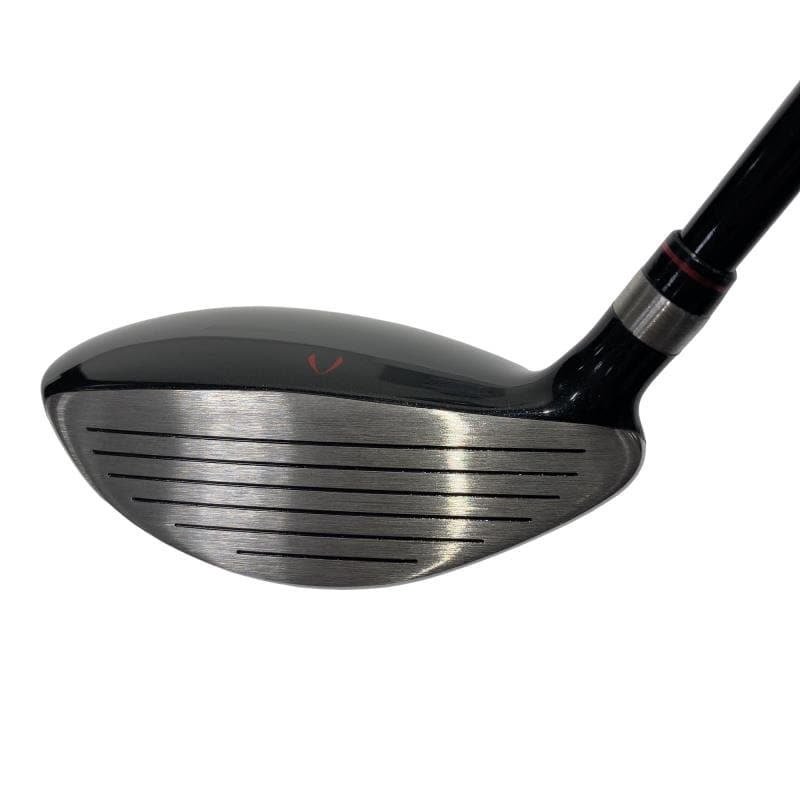 �j�Q�j�@���������O�X���[�e�B���e�B�@�t�T