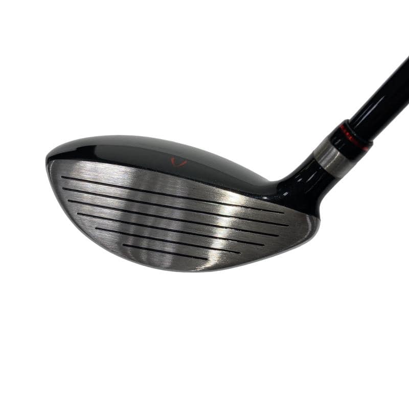 �j�Q�j�@���������O�X���[�e�B���e�B�@�t�U