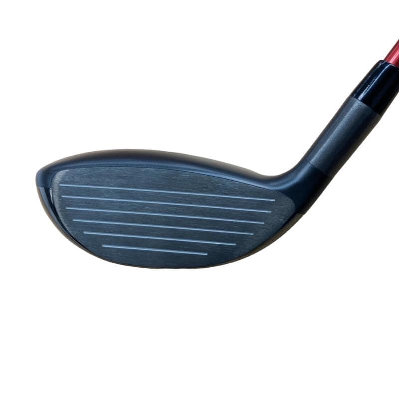 �o�`�q�`�c�x�l�@�`���@�r�l�n�j�d�@�������@�T�v