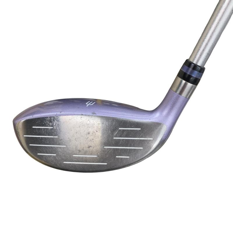 �d�t�q�t�r�@�T�v�@���f�B�[�X