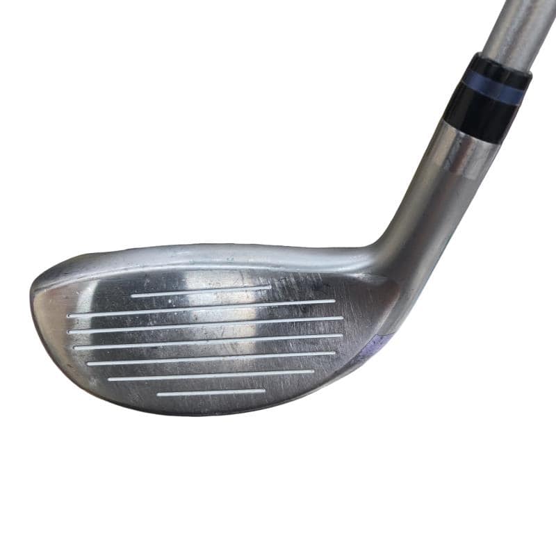 �d�t�q�t�r�@�t�T�^�U�@���f�B�[�X