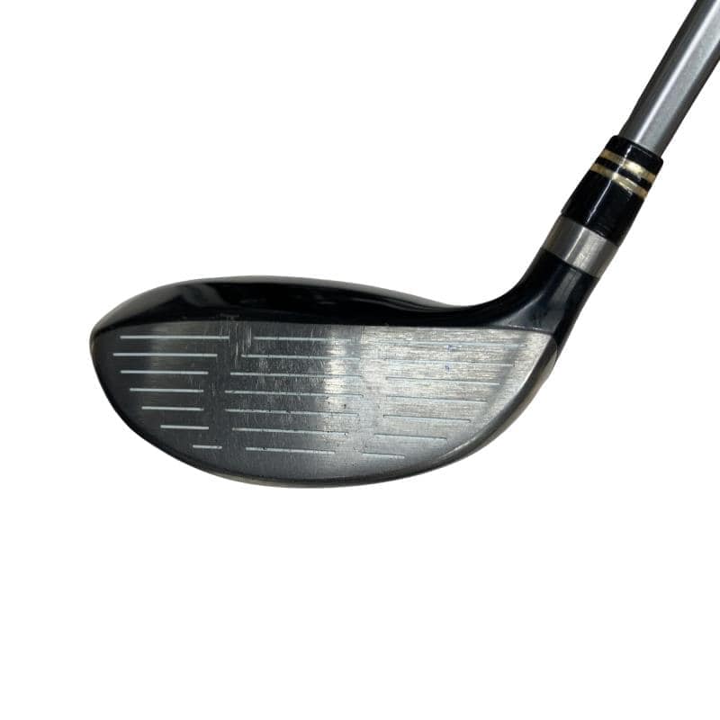 �q���������@�e�@�V���o�[�@�e�V