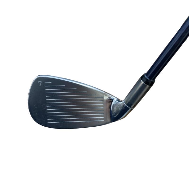 �l�`�b�s�d�b�@�m�u�f�Q�@�@�W�r�i���{���F�W�{�Z�b�g�j