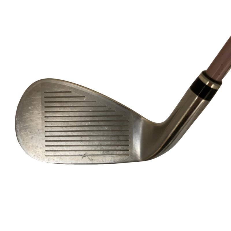 �w�w�h�n�i�Q�O�P�W�j�@�T�r�i�{���h�[�j�@���f�B�[�X�i���{���F�T�{�Z�b�g�j