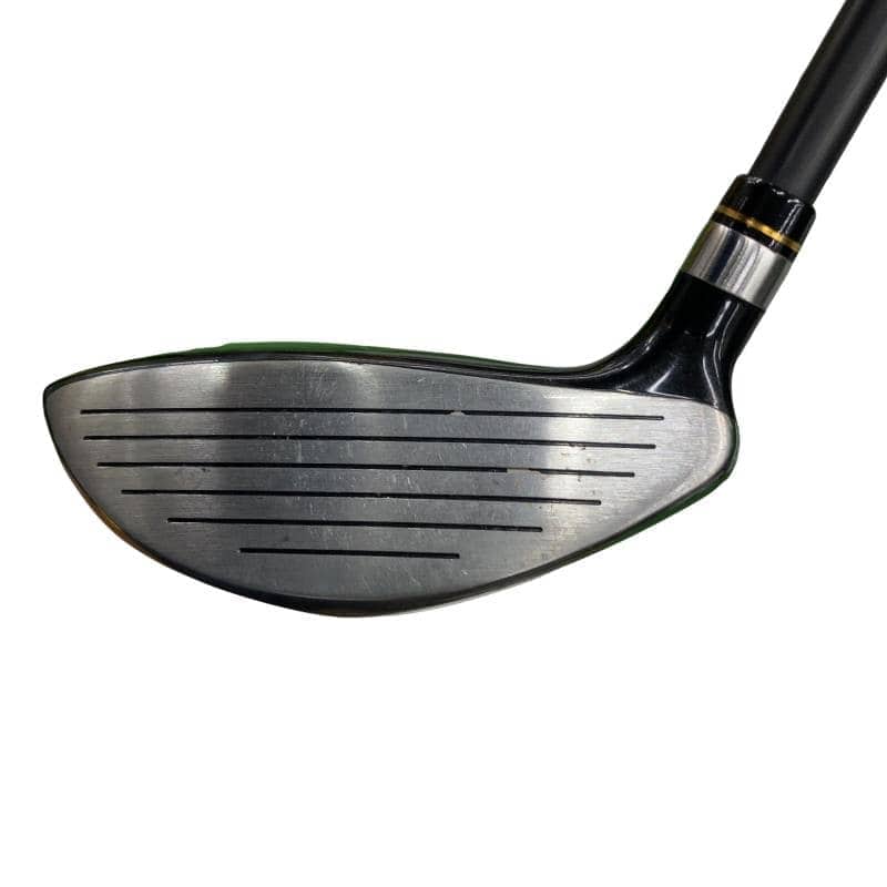 �j�Q�j�@���������O�X���[�e�B���e�B�@�t�T