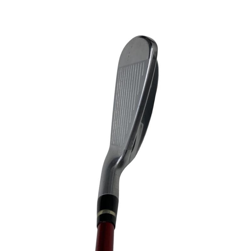 �������������@�q�l�w�@�t�c�{�Q�@���T