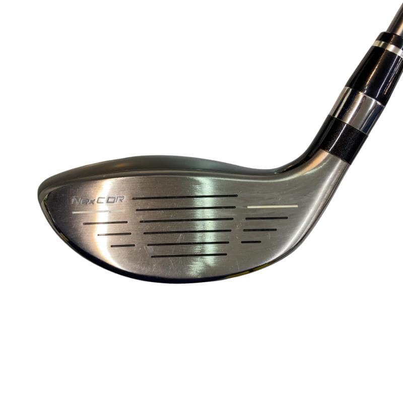 �u�q�Q�r�@���[�e�B���e�B�@�t�S