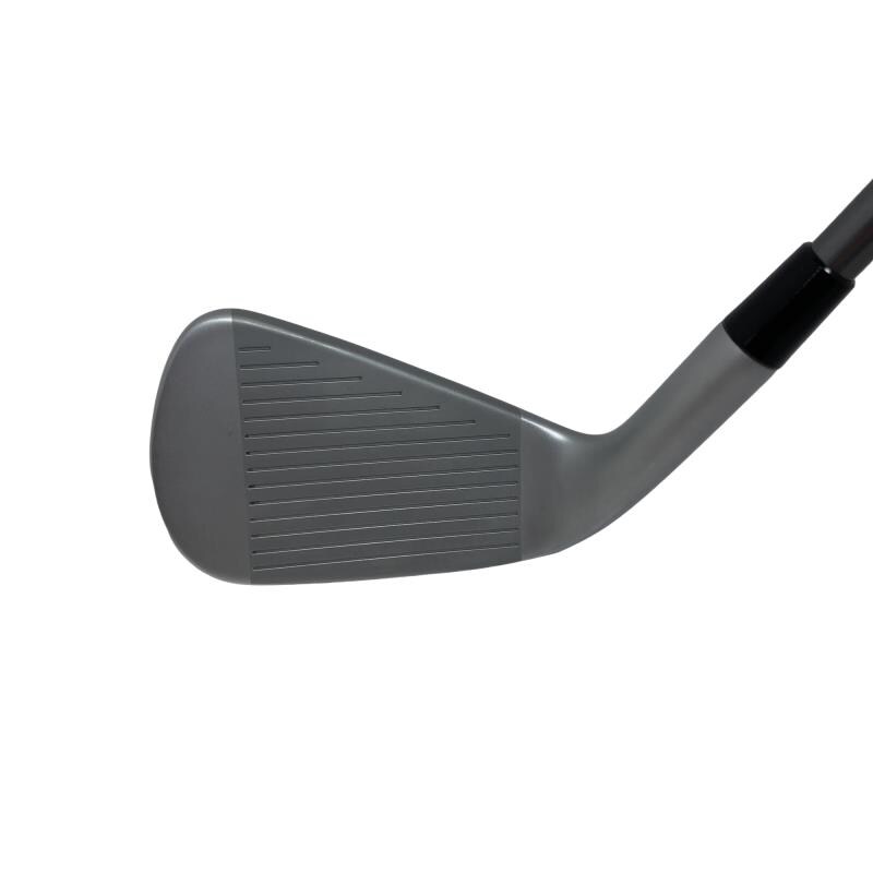 �s�����������@�l�������@�o�E�V�X�O�i�Q�O�Q�R�j�@�T�r�i���{���F�T�{�Z�b�g�j