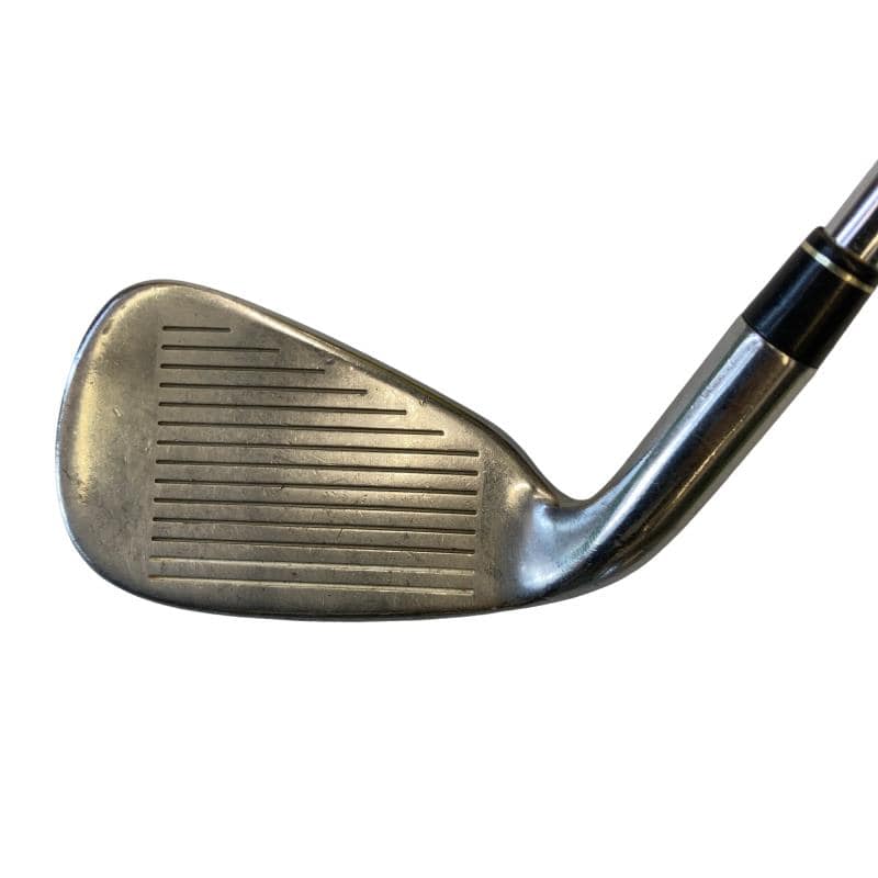 ���T�@�w�k�@�o�k�t�r�@�U�r�i���{���F�U�{�Z�b�g�j