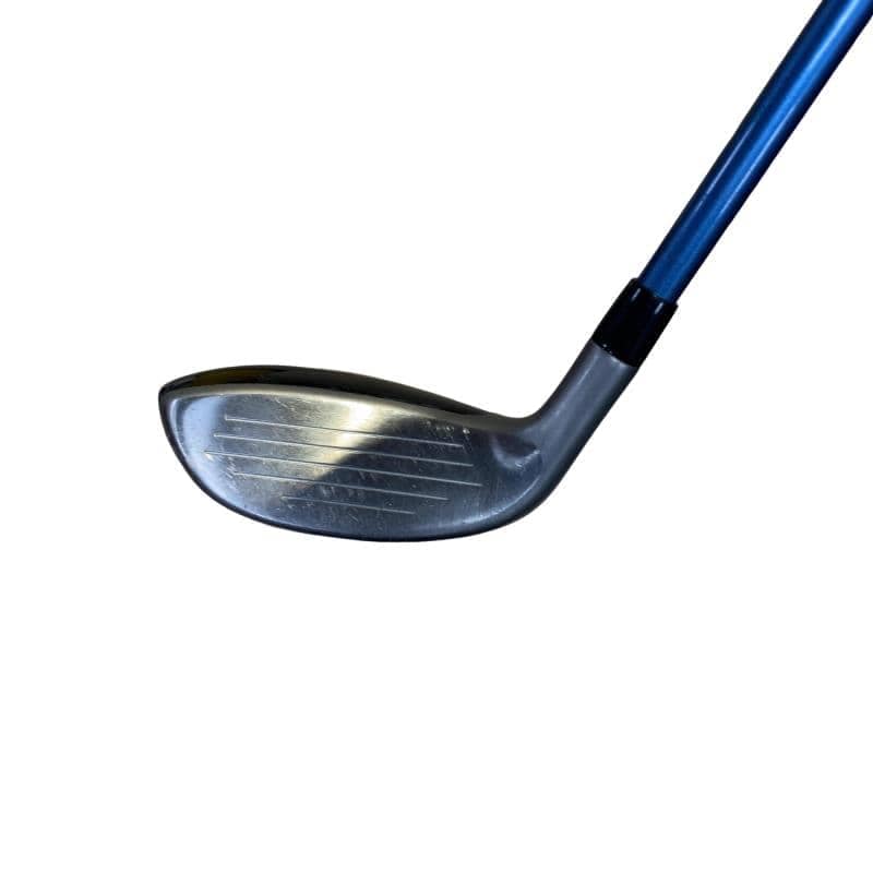 �a�q�|�w�@�_�[�N�O���[�@�t�T�@���f�B�[�X