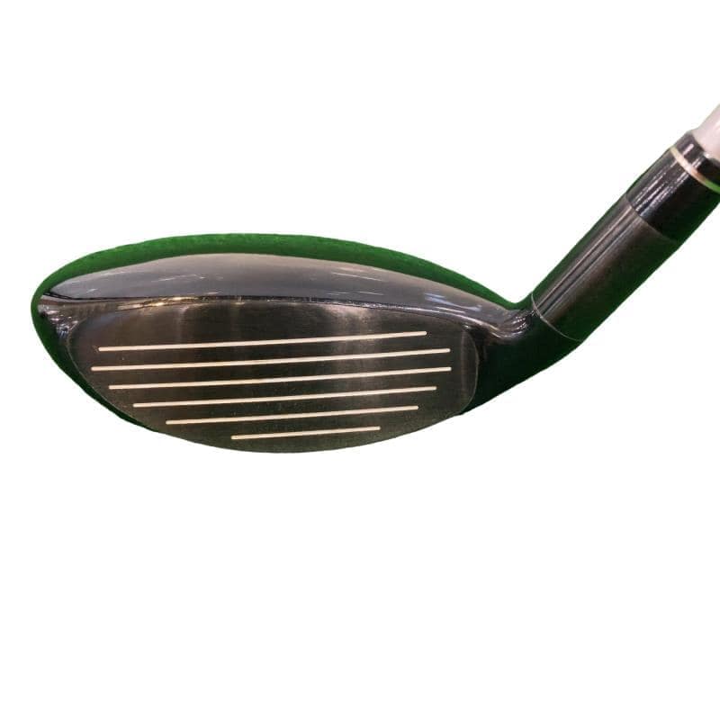 �w�@�g�n�s�@�t�T