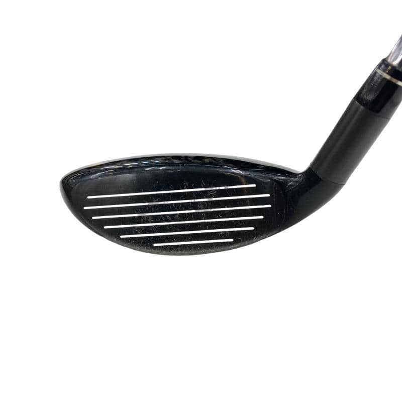 �w�@�g�n�s�@�t�S